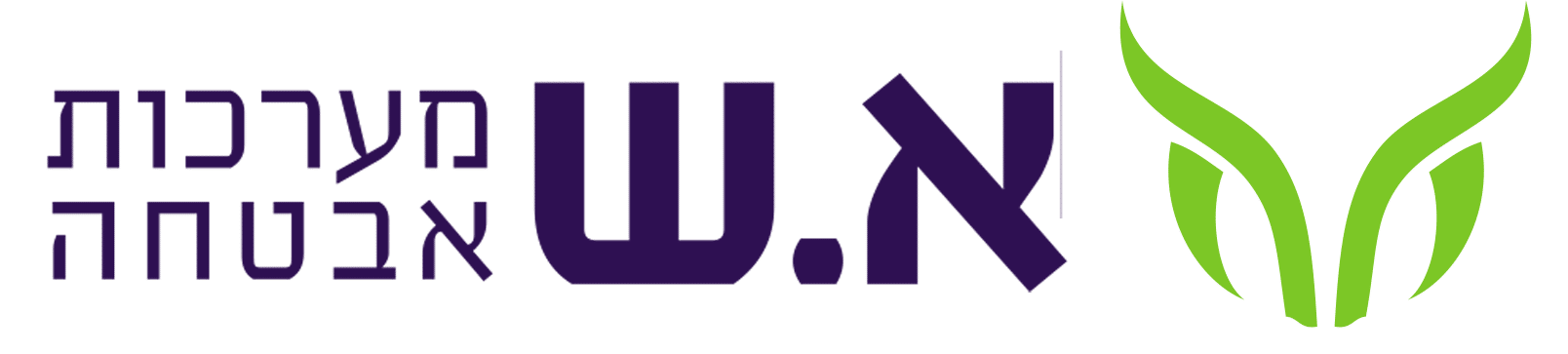 א.ש מערכות אבטחה